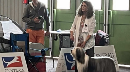 Speciale Bearded Collie Montlucon 2024